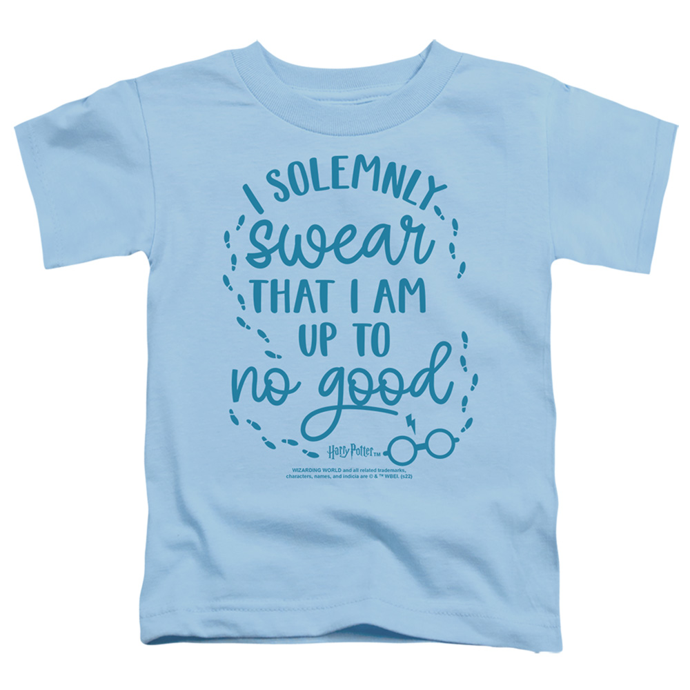 HP8986-TT-2 Harry Potter Up to No Good 1 Toddler Short Sleeve T-Shirt, Light Blue - Medium 3T