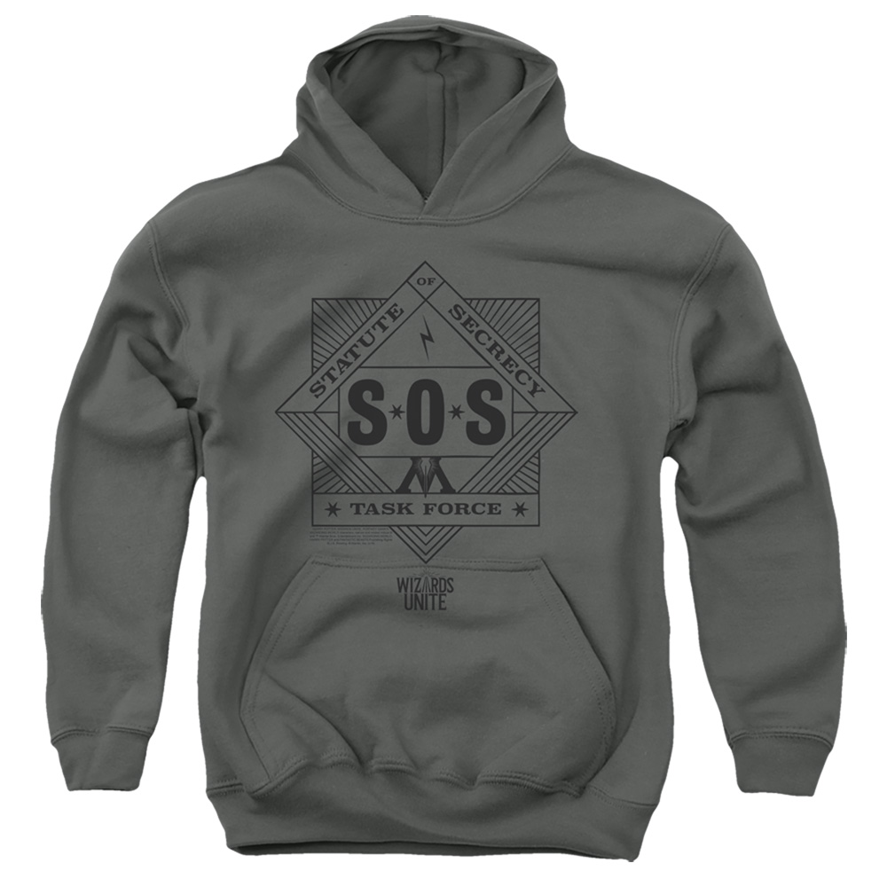 HP9046-YFTH-4 Harry Potter Wizards Unite Sos Task Force Youth Hooded Sweatshirt, Charcoal - Extra Large