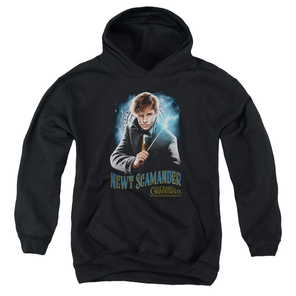 WB289-YFTH-2 Fantastic Beasts 2 Scamander Monogram Youth Hooded Sweatshirt, Black - Medium
