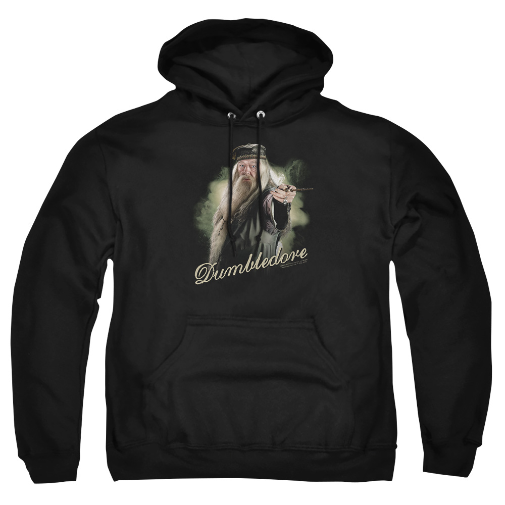 HP6006-AFTH-7 Harry Potter Dumbledore Wand Adult Pullover Hoodie, Black - 4X