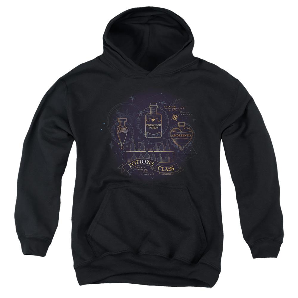 HP8479-YFTH-2 Harry Potter Potions Class Youth Hooded Sweatshirt, Black - Medium