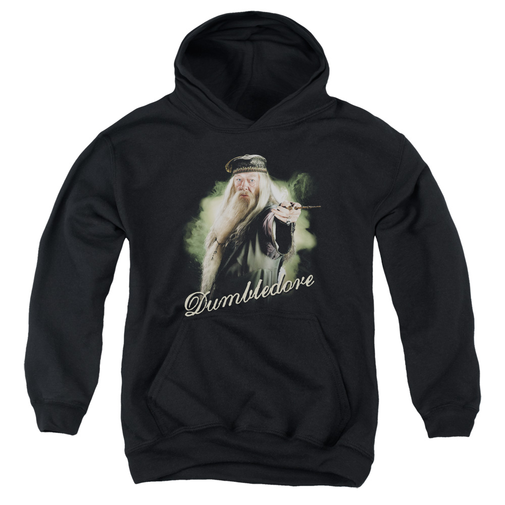 HP6006-YFTH-2 Harry Potter Dumbledore Wand Youth Hooded Sweatshirt, Black - Medium