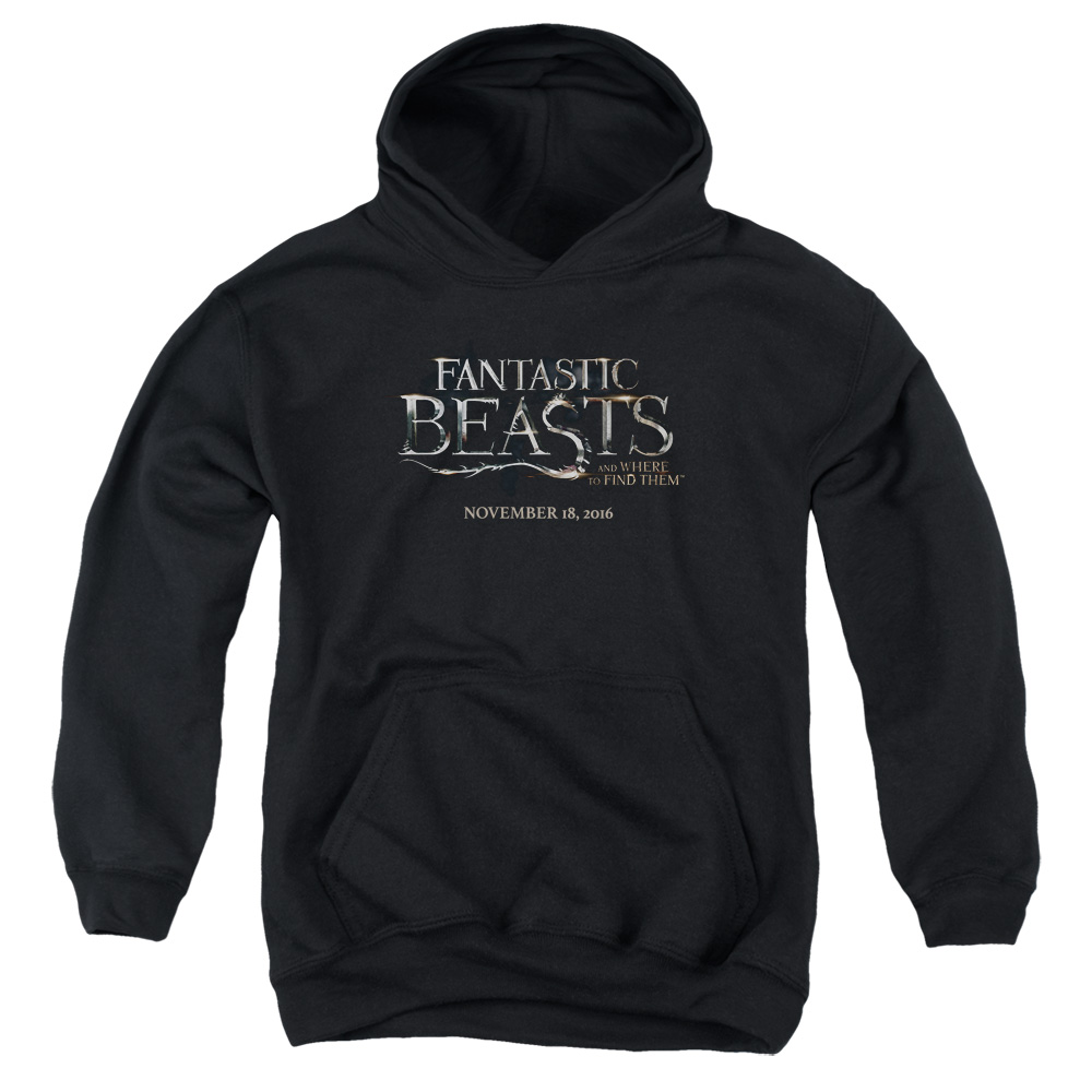 WB208B-YFTH-2 Fantastic Beasts Logo Youth Hooded Sweatshirt, Black - Medium
