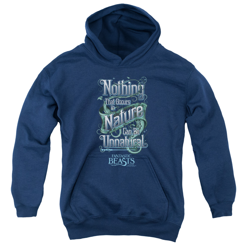 WB233B-YFTH-2 Fantastic Beasts Unnatural Youth Hooded Sweatshirt, Navy - Medium
