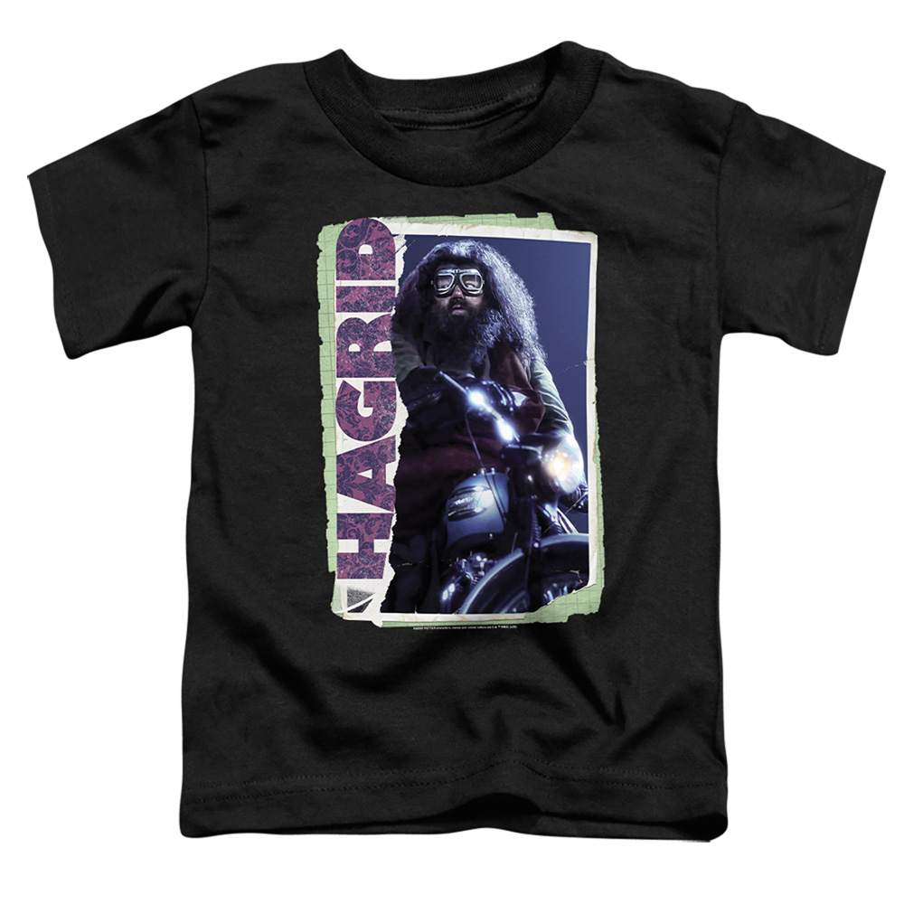 HP7028-TT-2 Harry Potter Rubeus Hagrid Photo Collage Toddler Short Sleeve T-Shirt, Black - Medium 3T