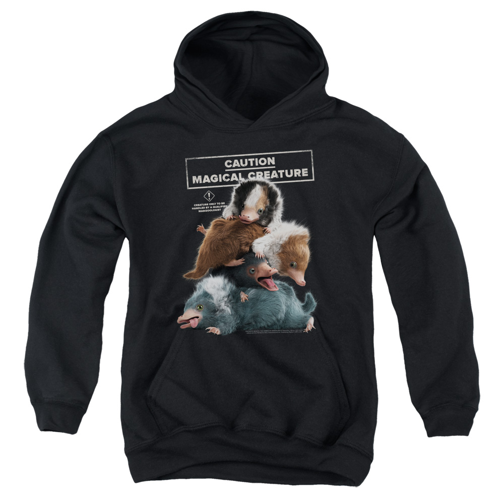 WB287-YFTH-3 Fantastic Beasts 2 Cuddle Puddle Youth Hooded Sweatshirt, Black - Large