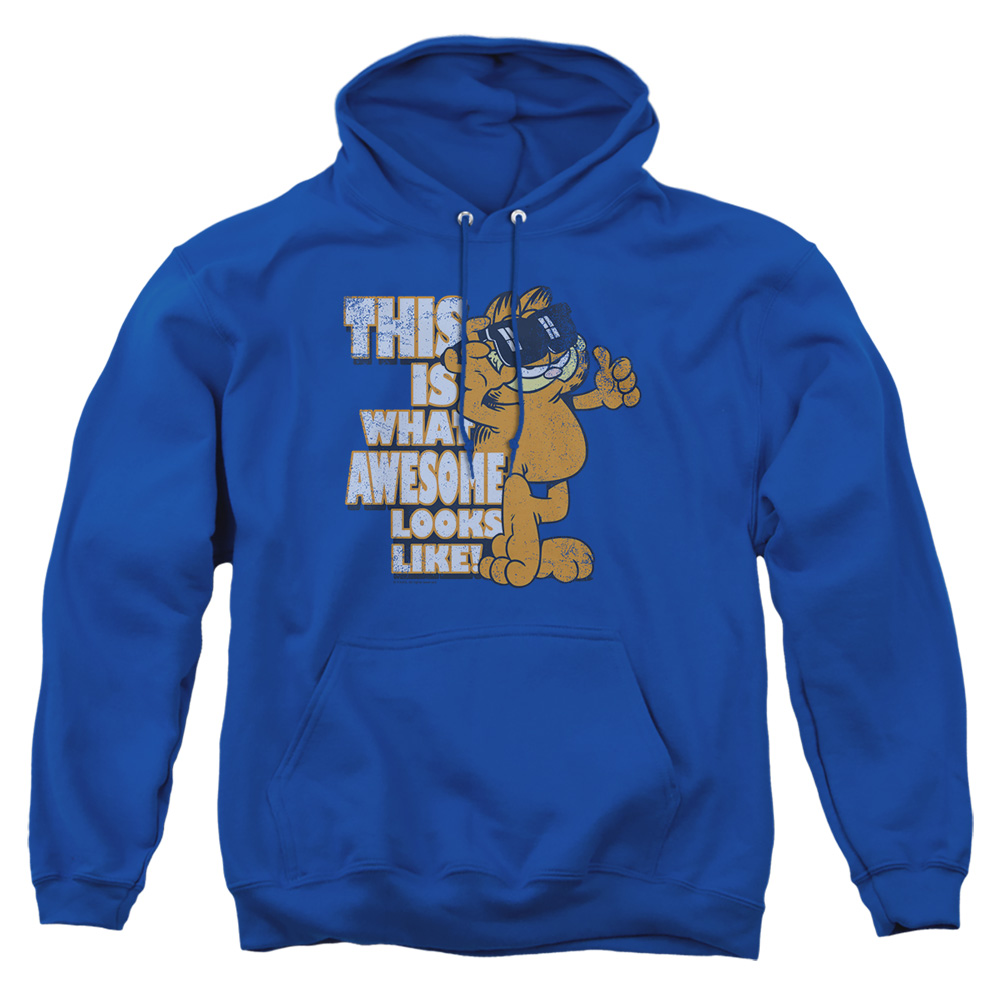 GAR492-AFTH-4 Garfield Awesome Adult Pullover Hoodie, Royal - Extra Large