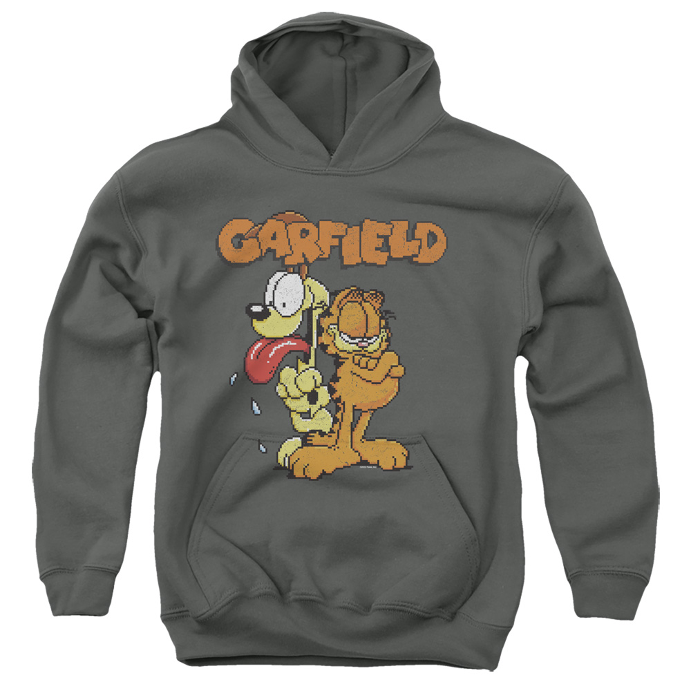 GAR725-YFTH-2 Garfield The Game Youth Hooded Sweatshirt, Charcoal - Medium