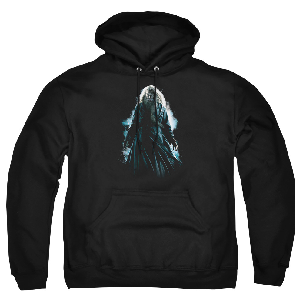 HP6007-AFTH-7 Harry Potter Dumbledore Burst Adult Pullover Hoodie, Black - 4X