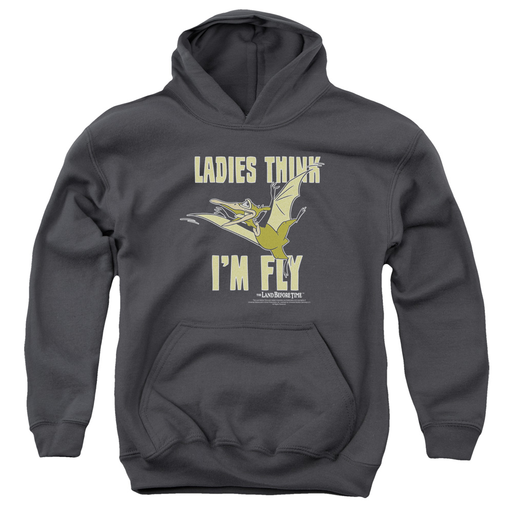UNI735-YFTH-4 Land Before Time Im Fly Youth Hooded Sweatshirt, Charcoal - Extra Large