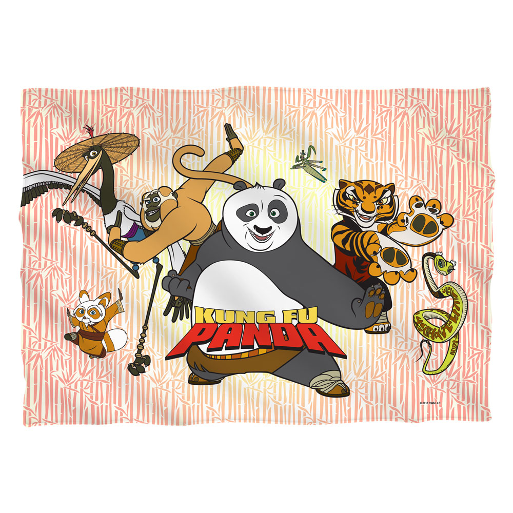 DRM291-PLO1-0 20 x 28 in. Kung Fu Panda Kung Fu Group Pillow Case, White