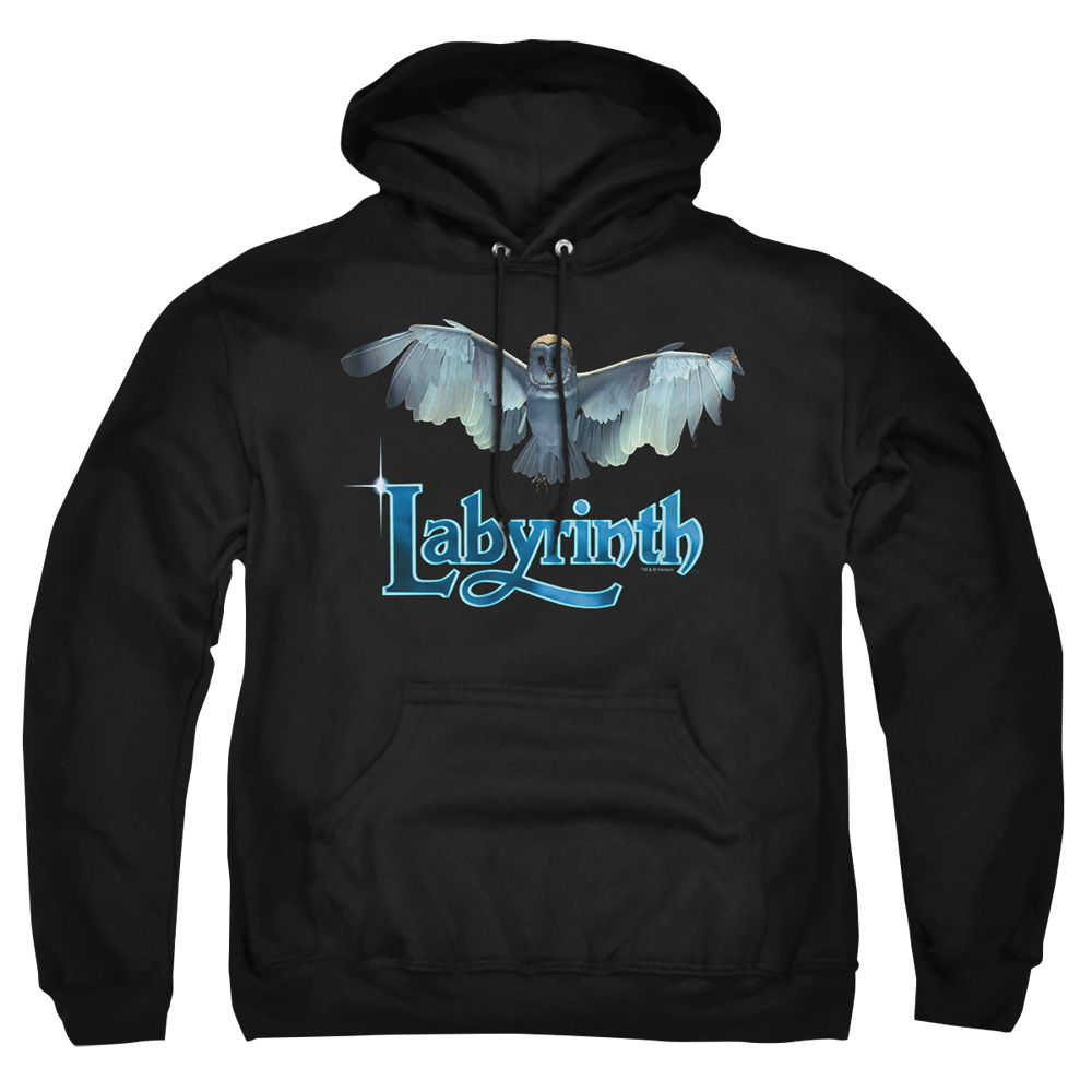 LAB119-AFTH-7 Labyrinth Title Sequence Adult Pullover Hoodie, Black - 4X