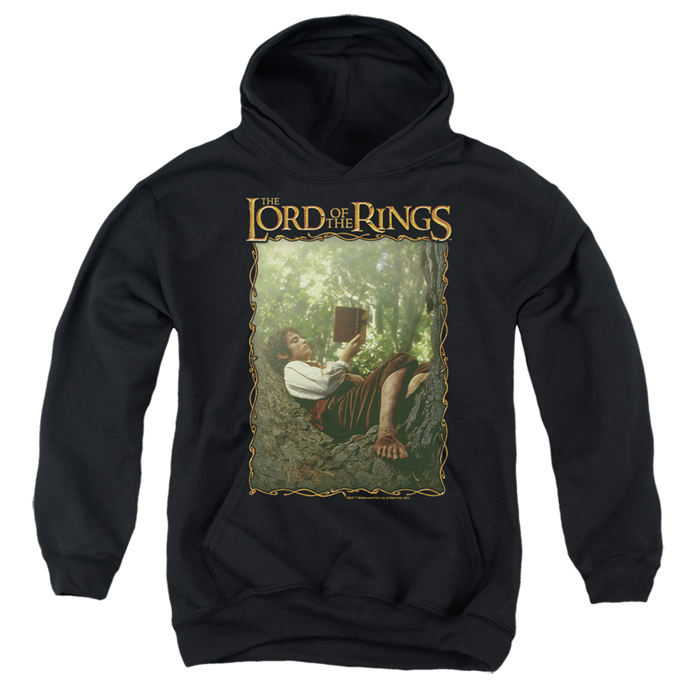 LOR1151-YFTH-3 Lord of The Rings Reader Frodo Youth Hooded Sweatshirt, Black - Large