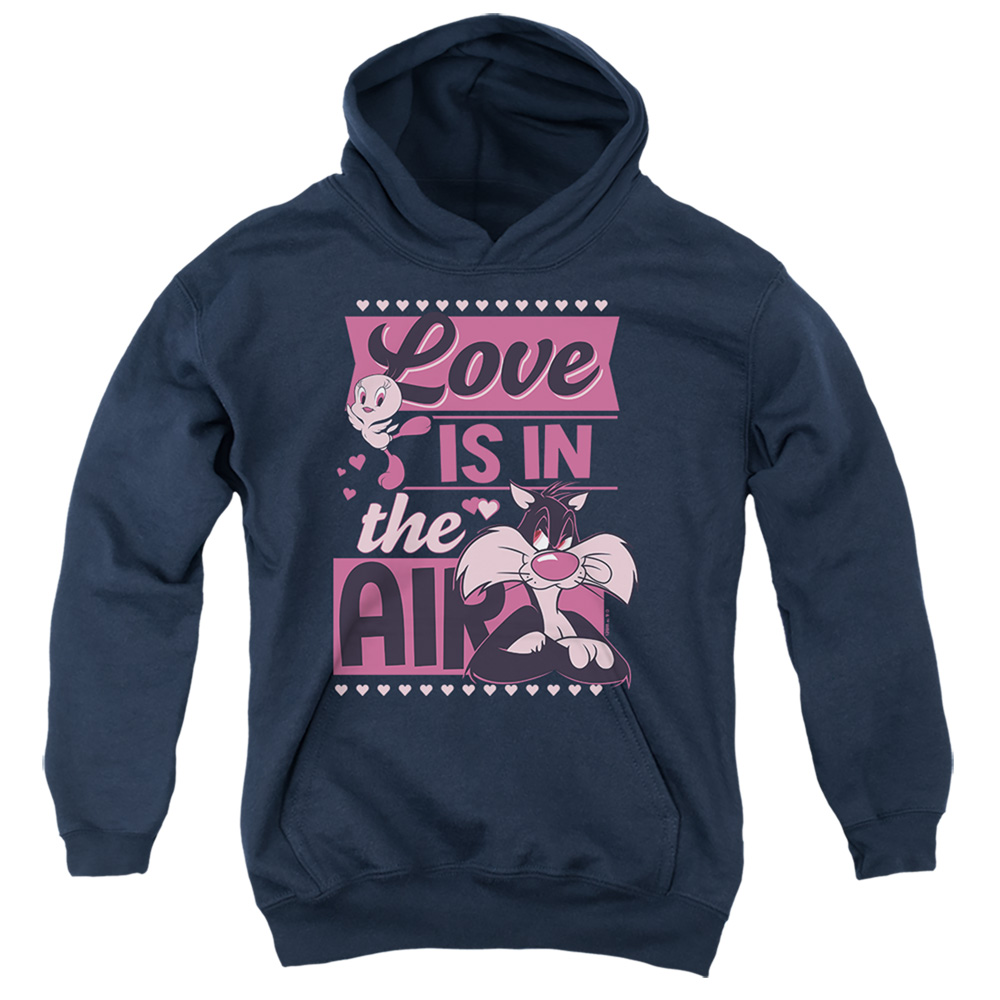 LT10048VAL-YFTH-4 Looney Tunes Valentines Day Tweety Sylvester Love in The Air Youth Hooded Sweatshirt, Navy - Extra Large