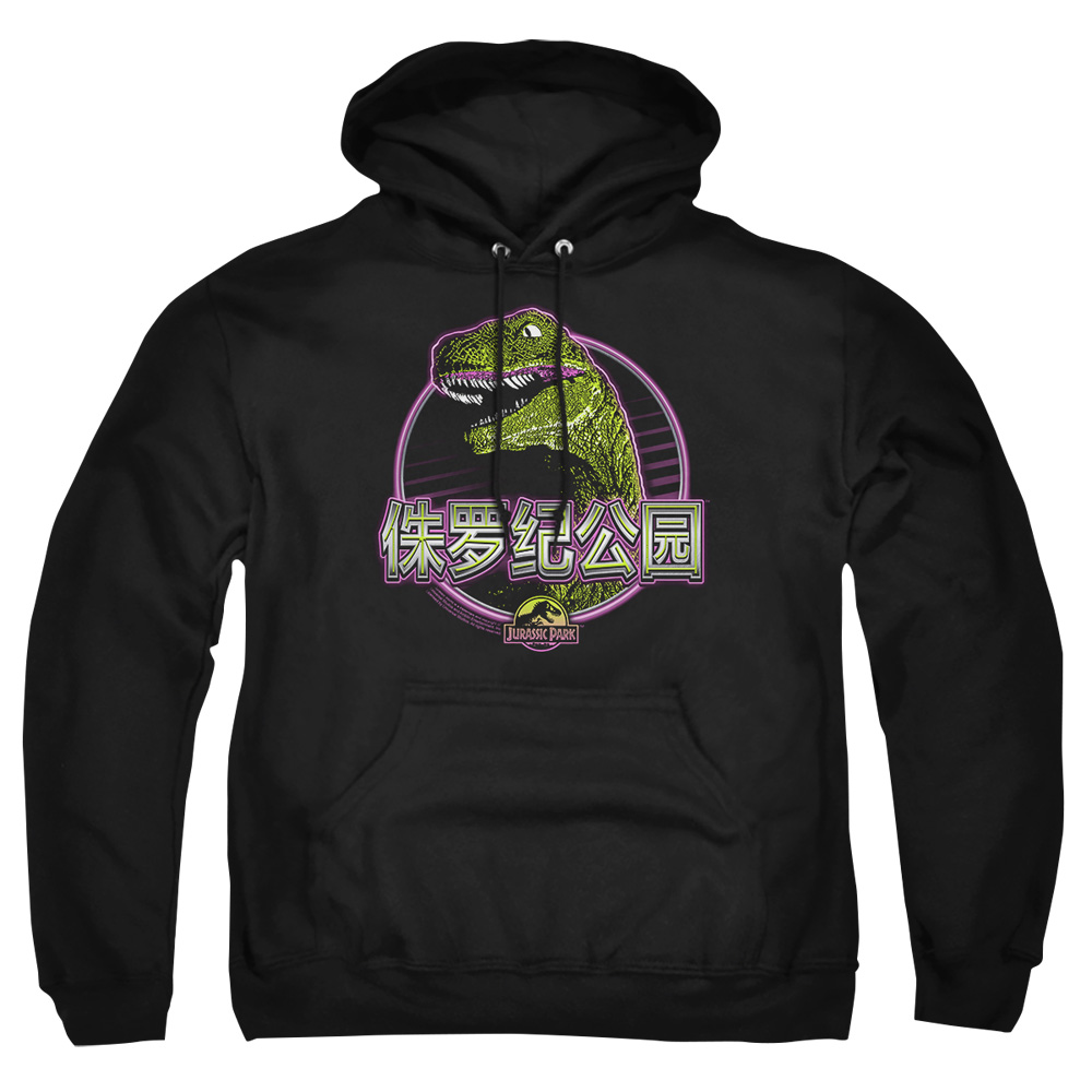 UNI1155-AFTH-2 Jurassic Park Lying Smile Adult Pullover Hoodie, Black - Medium