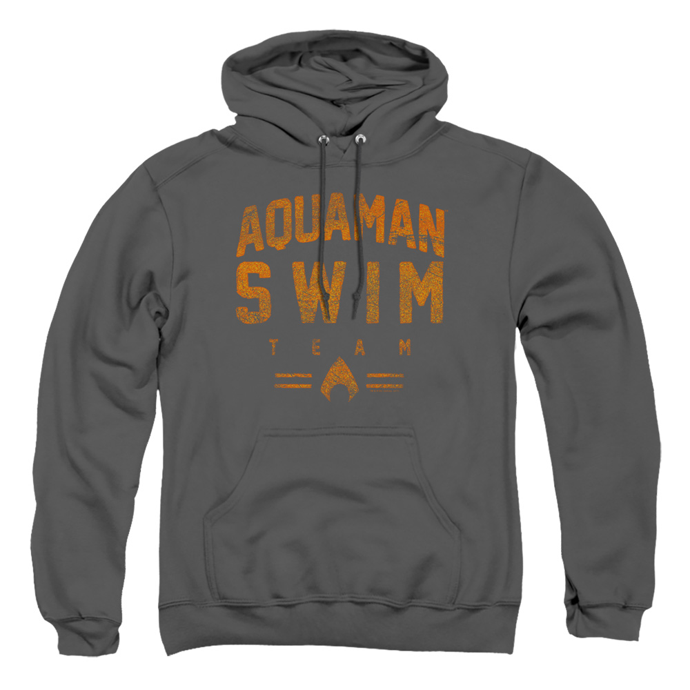 JLA658-AFTH-2 JLA Swin Team Adult Pullover Hoodie, Charcoal - Medium
