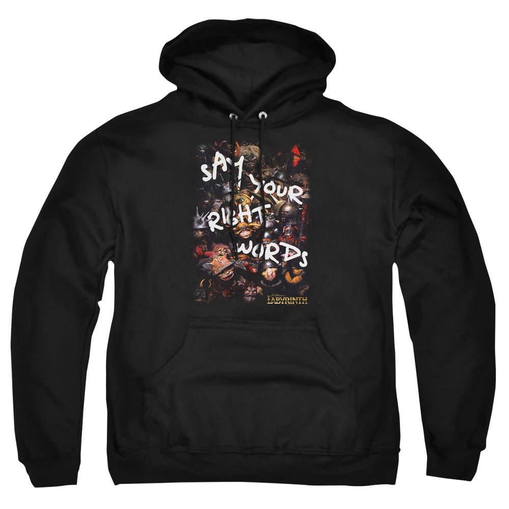 LAB130-AFTH-7 Labyrinth Right Words Adult Pullover Hoodie, Black - 4X