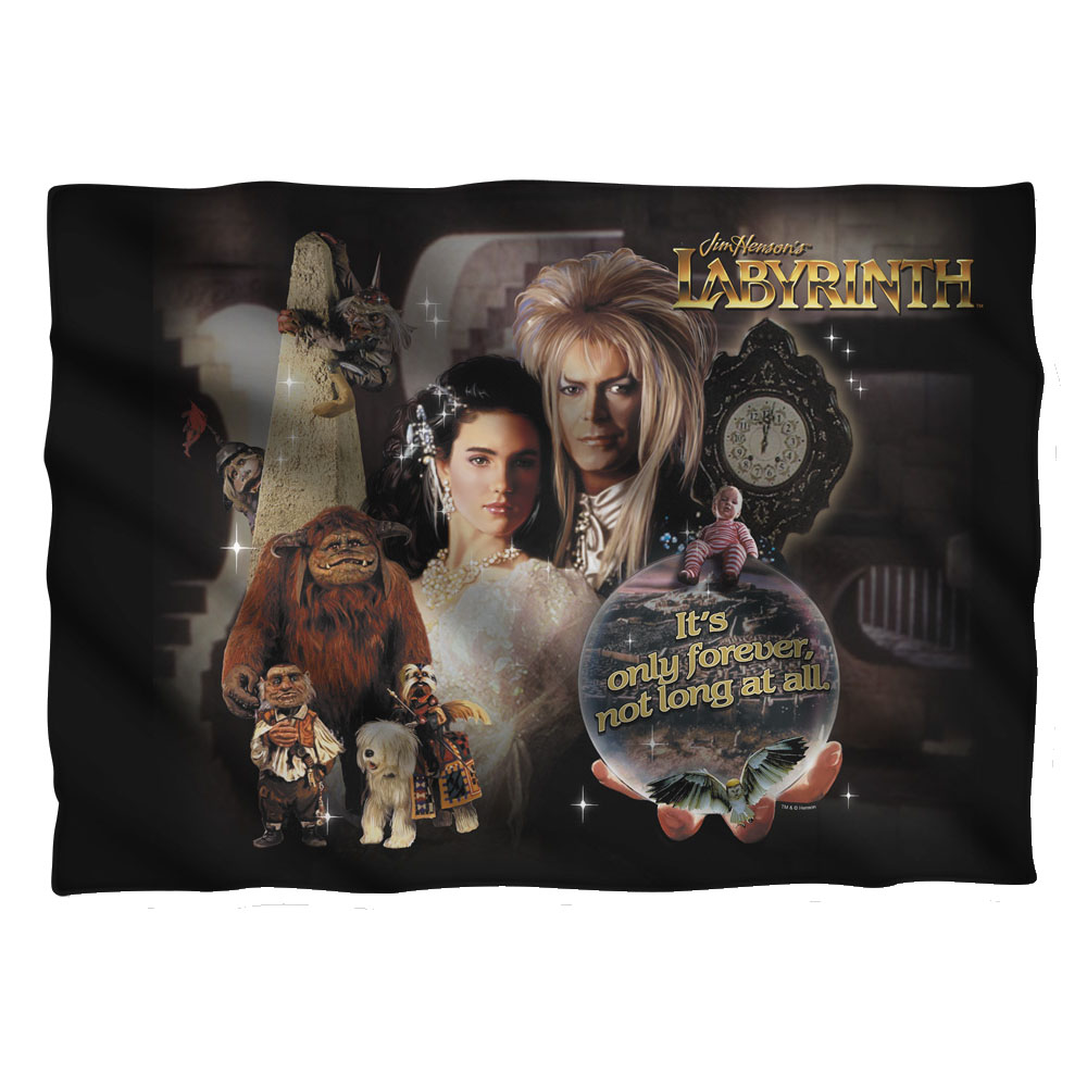 LAB158-PLO1-0 20 x 28 in. Labyrinth Only Forever Pillow Case, White