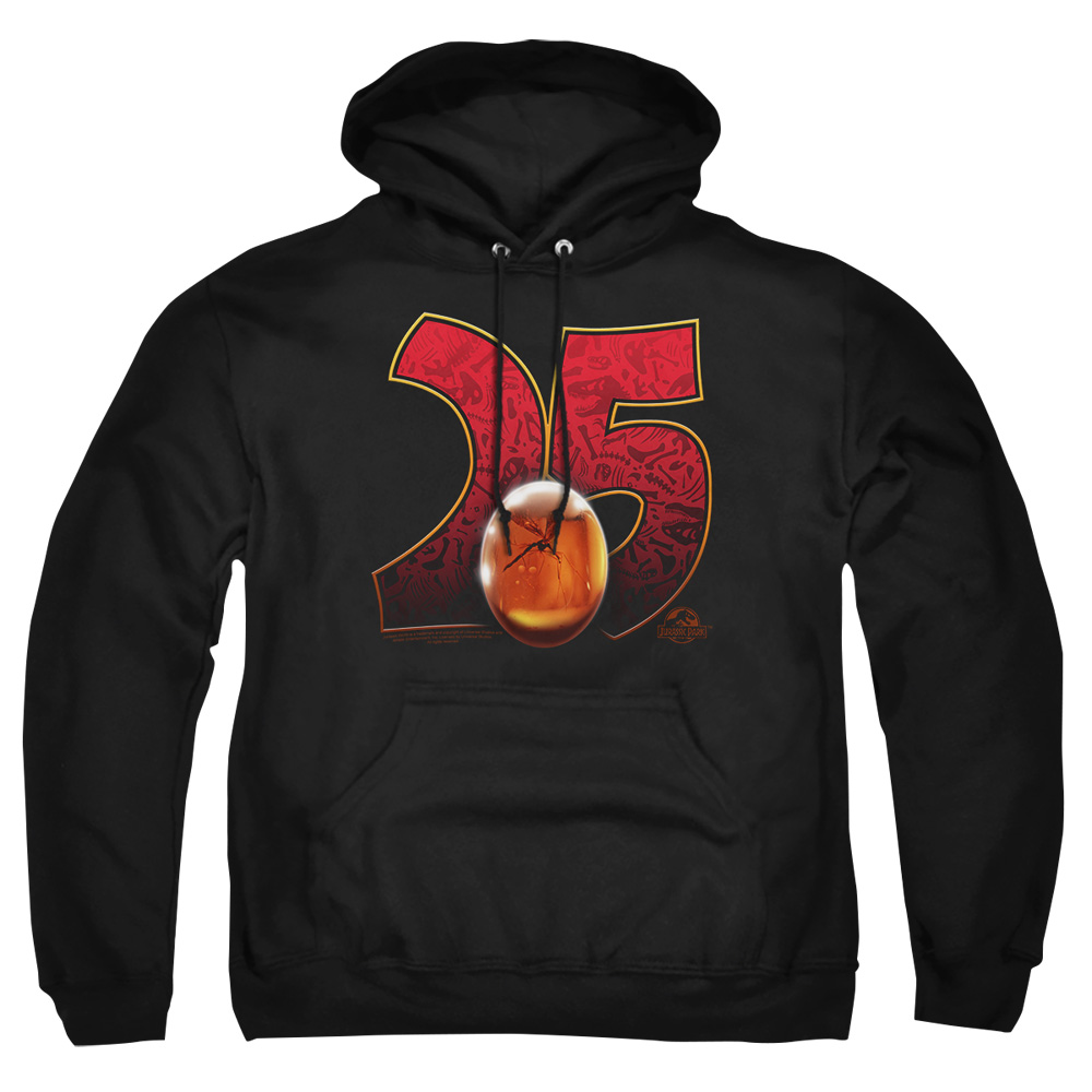UNI1164-AFTH-4 Jurassic Park Amber Adult Pullover Hoodie, Black - Extra Large