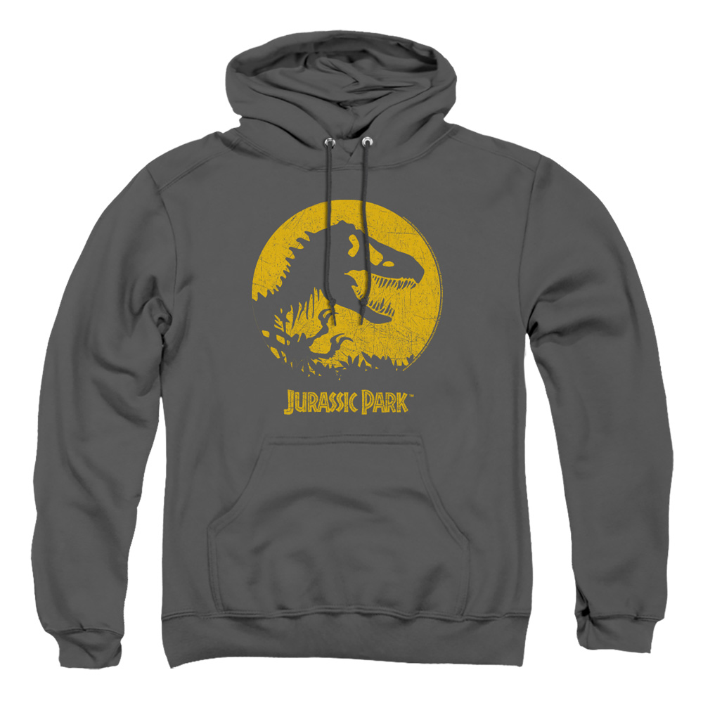 UNI1165B-AFTH-4 Jurassic Park T Rex Sphere Adult Pullover Hoodie, Charcoal - Extra Large