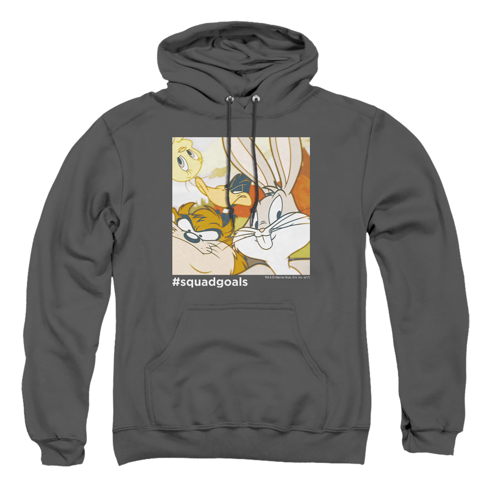 LT219-AFTH-2 Looney Tunes Squad Goals Adult Pullover Hoodie, Charcoal - Medium