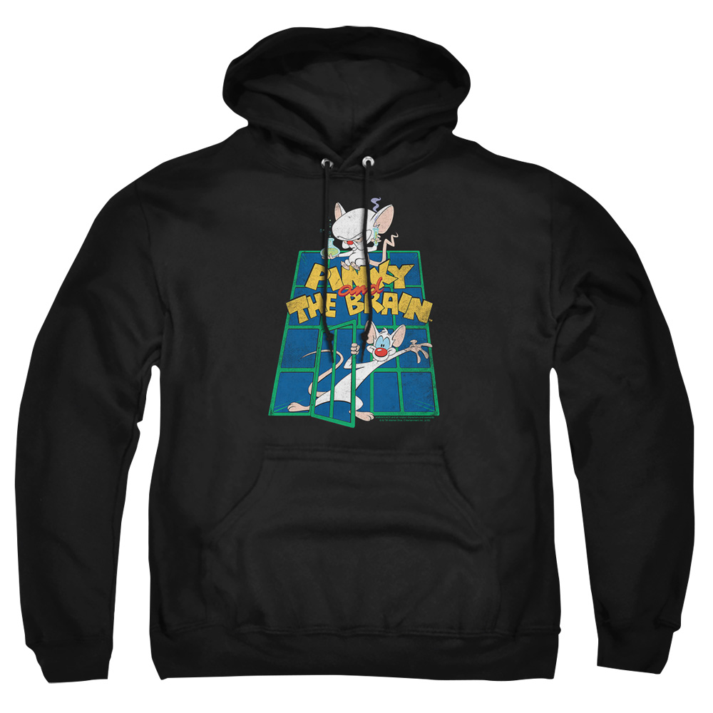 WBT921-AFTH-2 Pinky & The Brain Ol Standard Adult Pullover Hoodie, Black - Medium