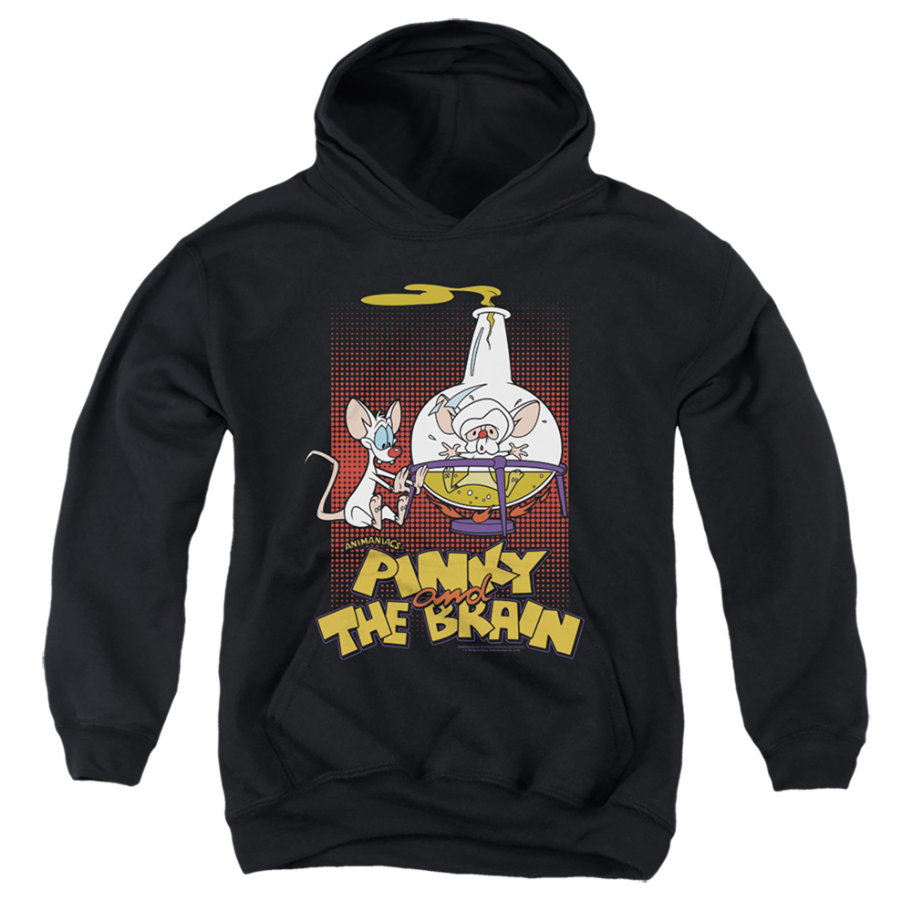 WBT917-YFTH-2 Pinky & The Brain Lab Flask Youth Hooded Sweatshirt, Black - Medium