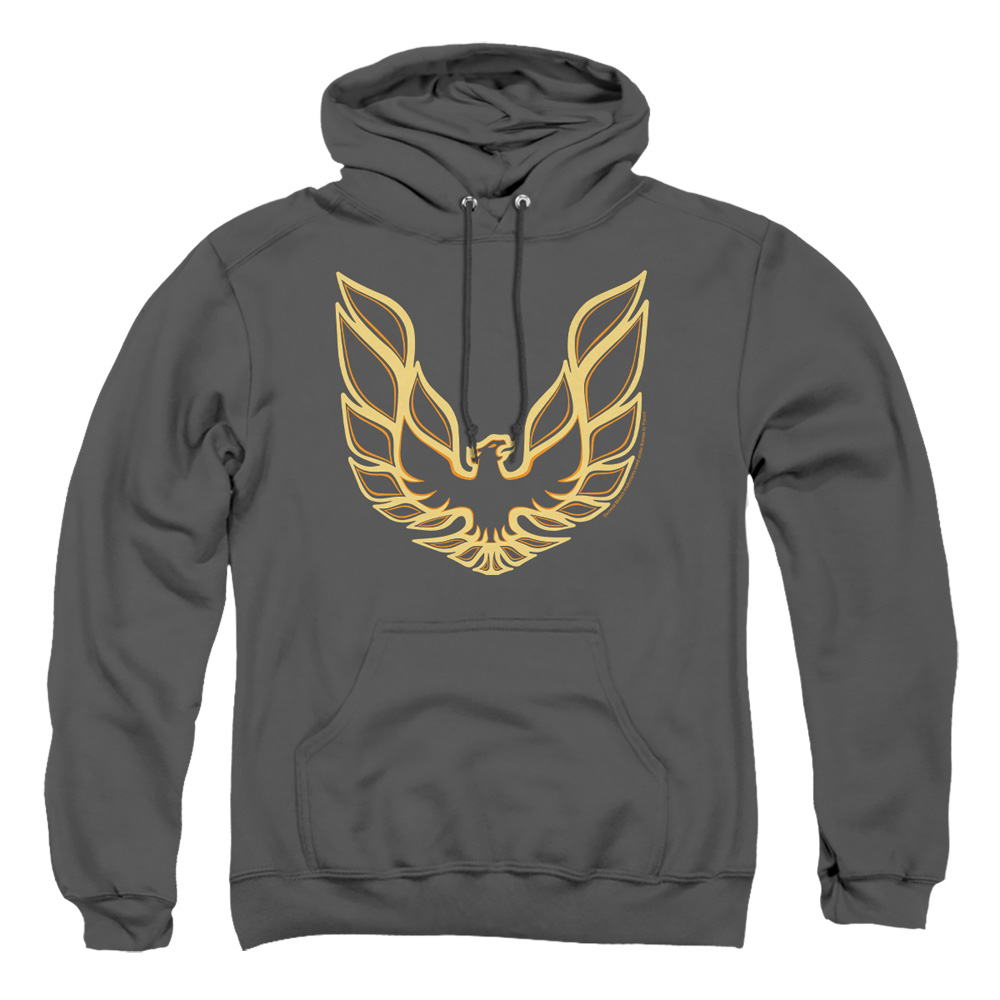 PTC100-AFTH-2 Pontiac Iconic Firebird Adult Pullover Hoodie, Charcoal - Medium