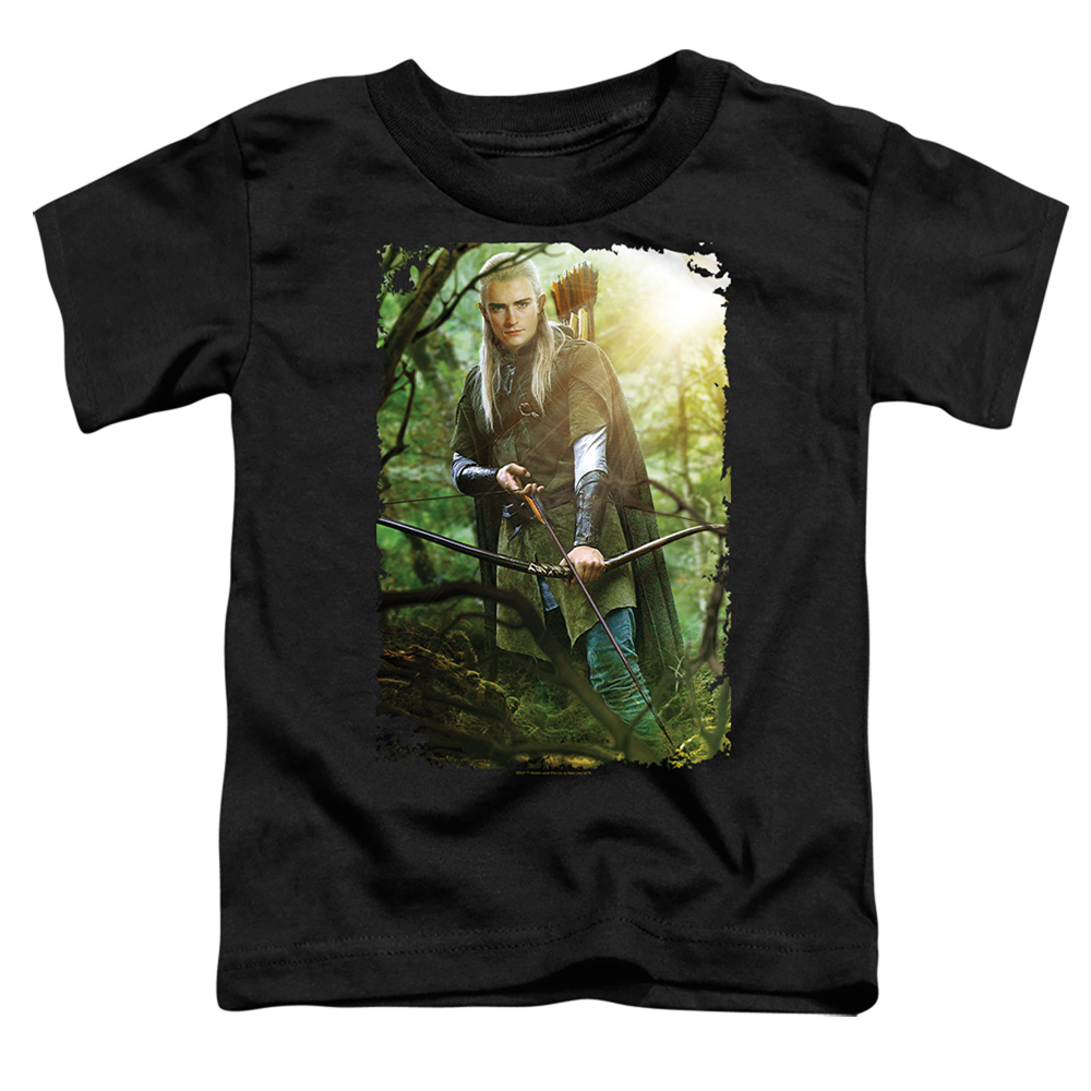 LOR3047-TT-1 The Lord of the Rings Legolas Toddler Short Sleeve T-Shirt, Black - Small 2T