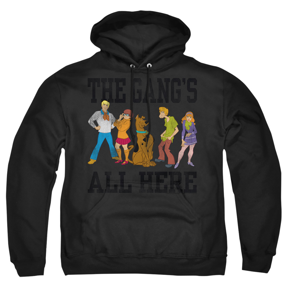 SD120-AFTH-2 Scooby Doo The Gang Adult Pullover Hoodie, Black - Medium