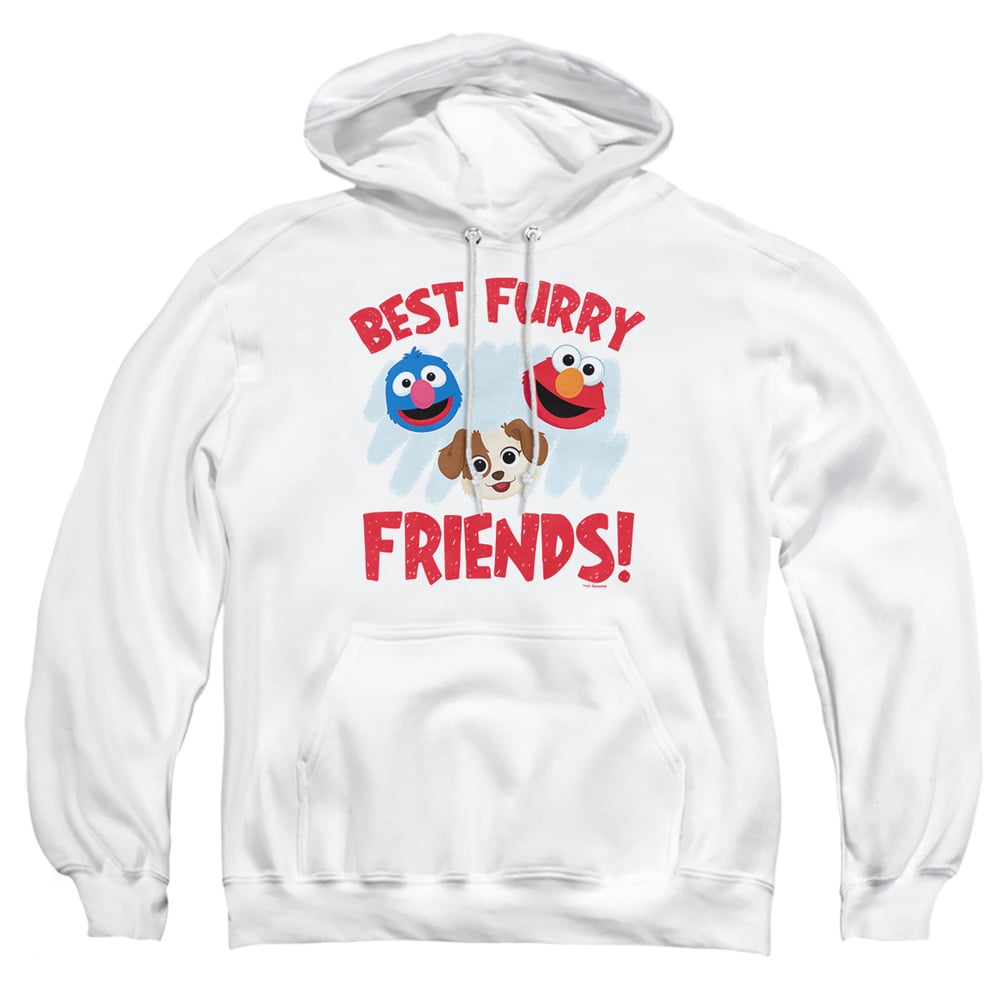 SST568-AFTH-3 Sesame Street Furry Friends Forever Best Furry Friends Adult Pullover Hoodie, White - Large