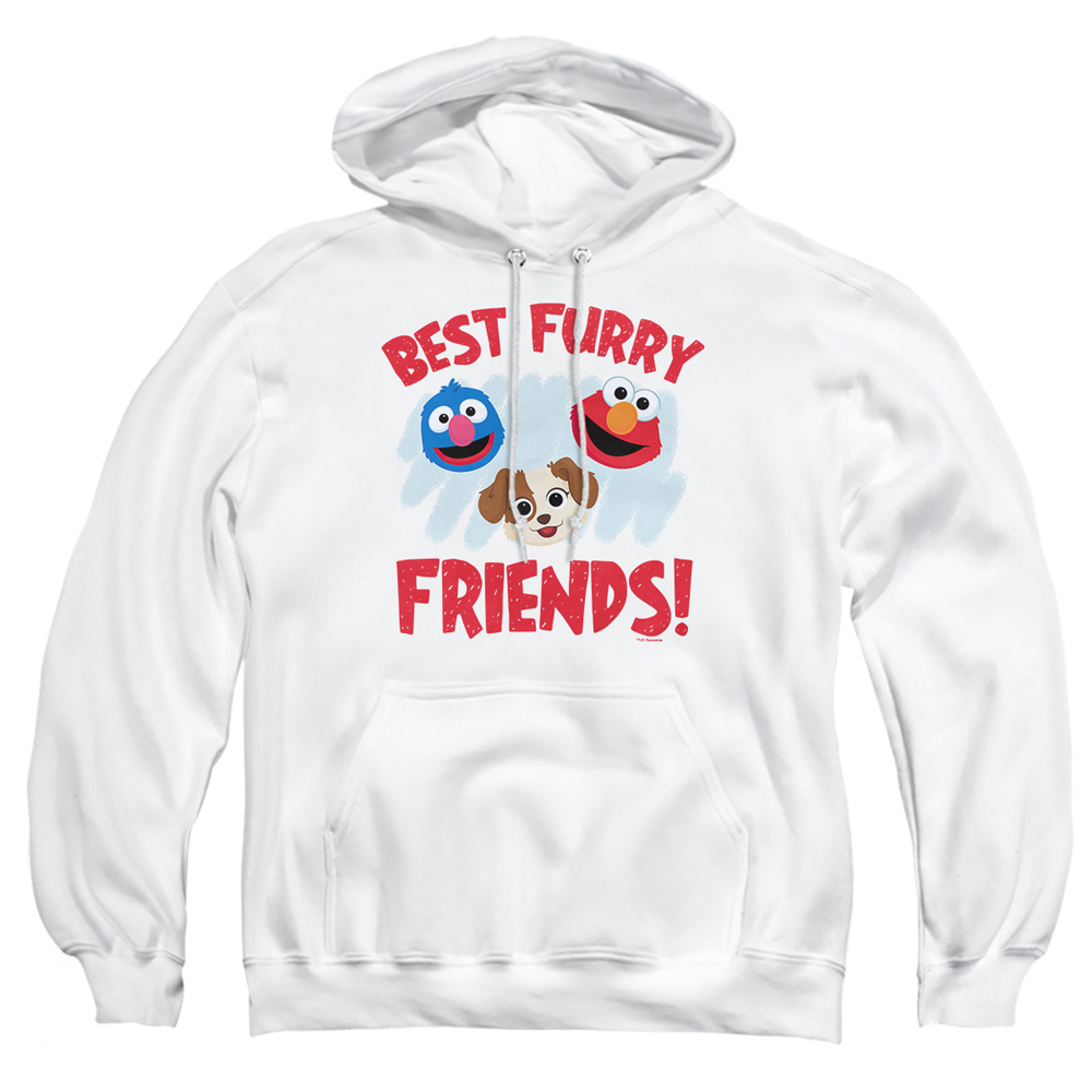 SST568-AFTH-2 Sesame Street Furry Friends Forever Best Furry Friends Adult Pullover Hoodie, White - Medium