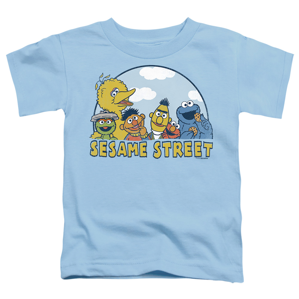 SST187-TT-2 Sesame Street Group Toddler Short Sleeve T-Shirt, Light Blue - Medium 3T
