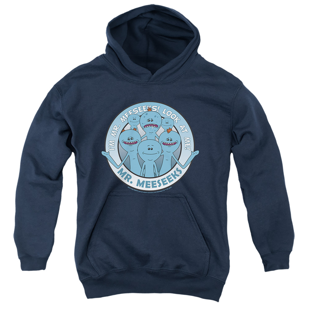 CN1714-YFTH-2 Rick & Morty Mr Meeseeks Youth Hooded Sweatshirt, Navy - Medium