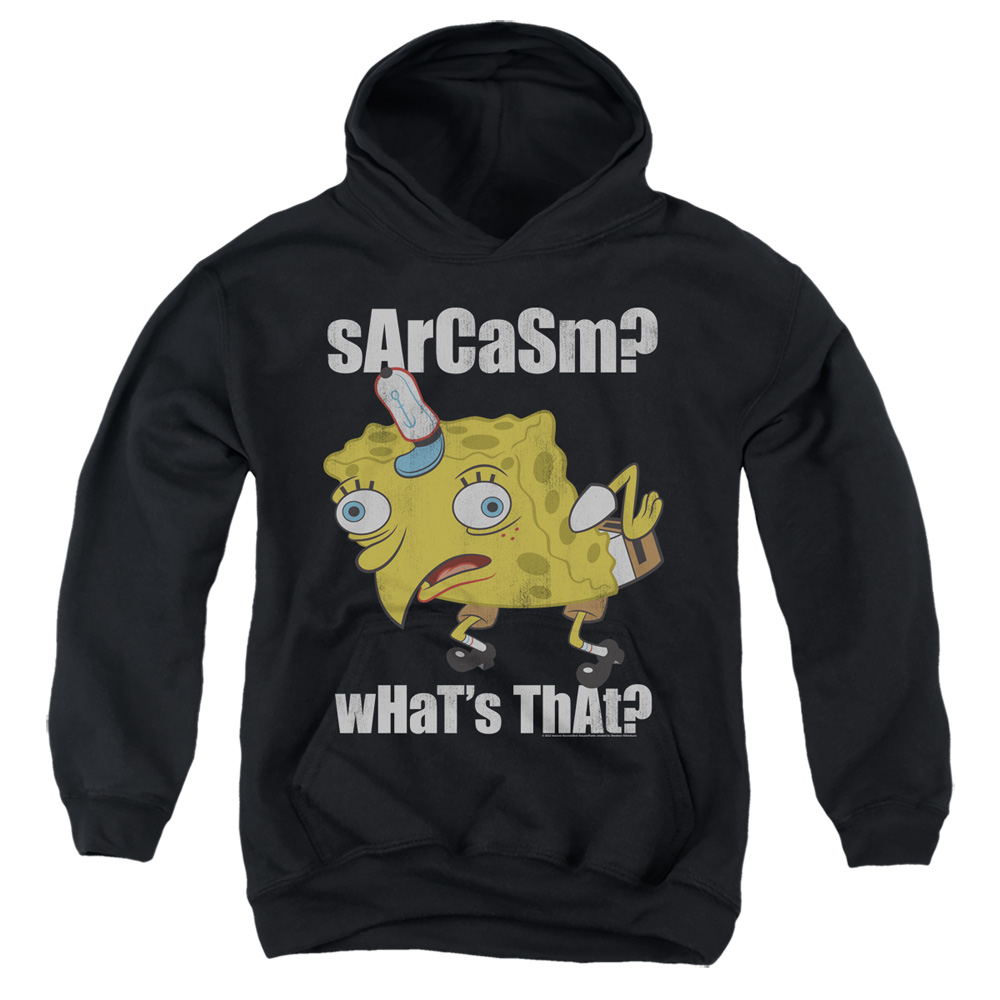 NICK481-YFTH-4 Spongebob Sarcasm Meme Youth Hooded Sweatshirt, Black - Extra Large