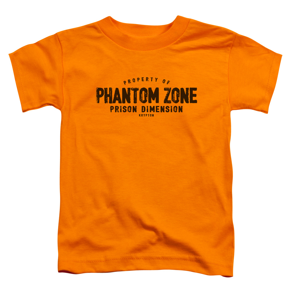 SM2357-TT-2 Superman Phantom Zone Toddler Short Sleeve T-Shirt, Orange - Medium 3T