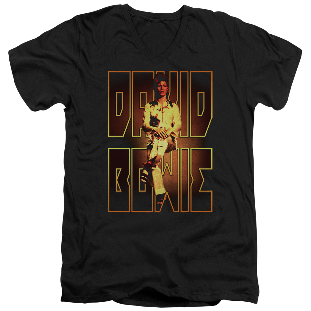 David Bowie Perched-S by S Adult V-Neck T-Shirt - Black - Medium
