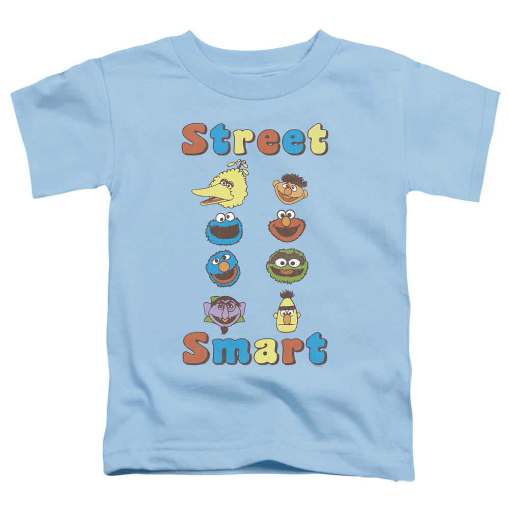 SST278-TT-2 Sesame Street & Street Smart-Short Sleeve Toddler Tee, Light Blue - Medium 3T