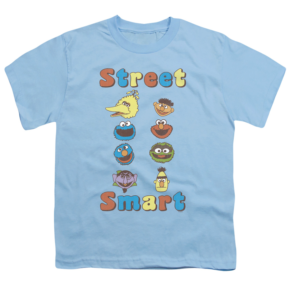 SST278-YT-2 Sesame Street & Street Smart-Short Sleeve Youth 18-1 T-Shirt, Light Blue - Medium