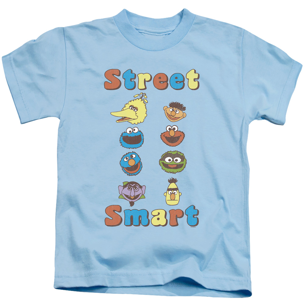 SST278-KT-2 Sesame Street & Street Smart-Short Sleeve Juvenile 18-1 T-Shirt, Light Blue - Medium 5-6