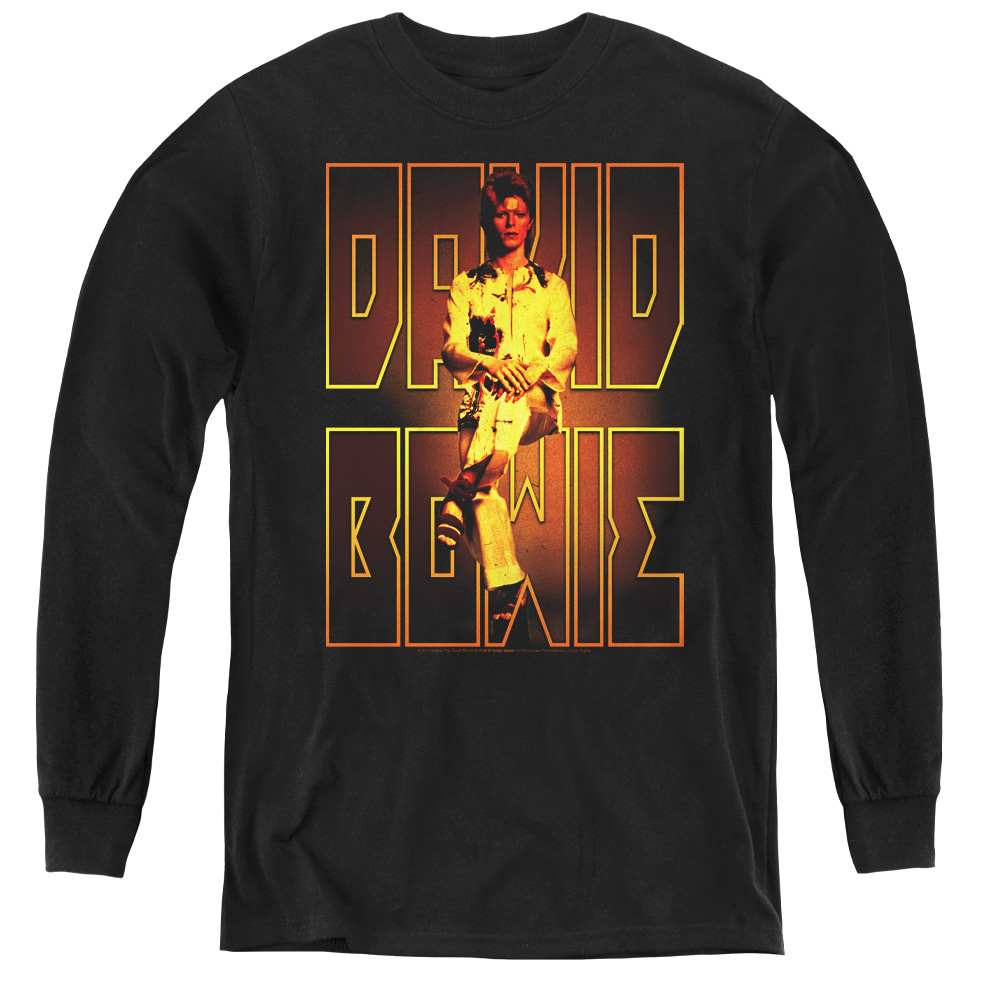 BOWIE111-YL-4 David Bowie & Perched-Youth Long Sleeve Tee, Black - Extra Large