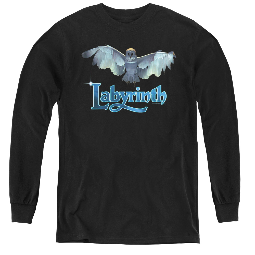 LAB119-YL-2 Labyrinth & Title Sequence - Youth Long Sleeve Tee, Black - Medium