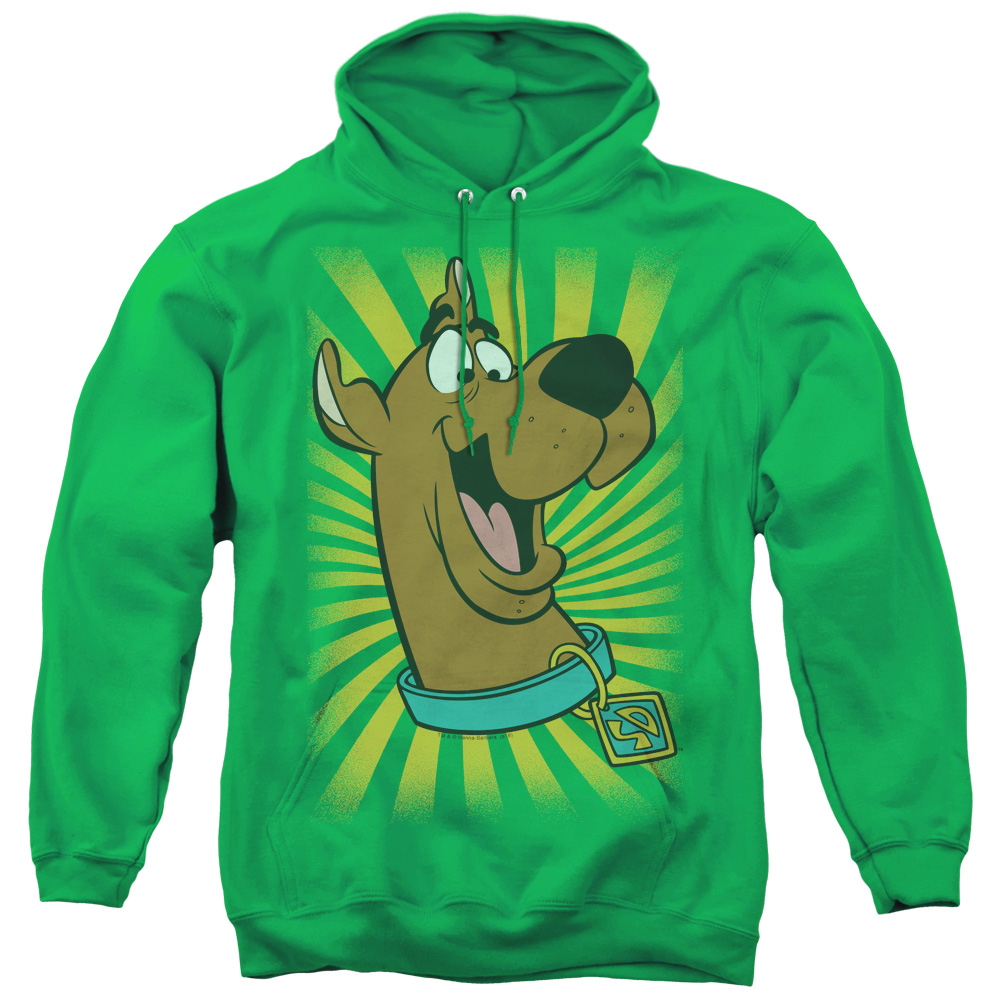 Scooby Doo T-shirt Adult Pull Over Hoodie, Kelly Green - Medium