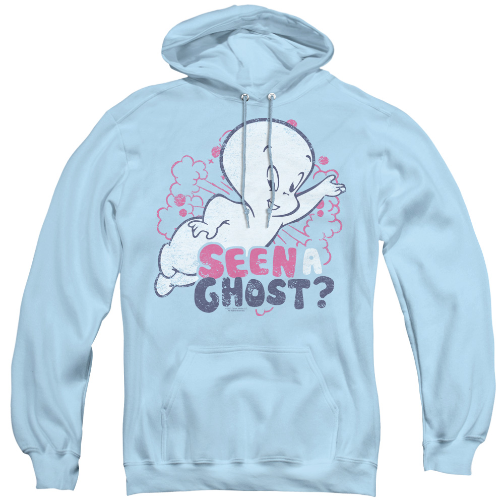 DRM208-AFTH-3 Casper & Seen A Ghost Adult Pullover Hoodie, Light Blue - Large