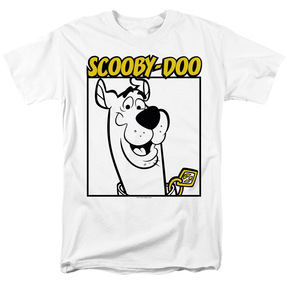 Scooby Doo & Scooby Square Short Sleeve Adult 18-1 T-Shirt, White - Medium