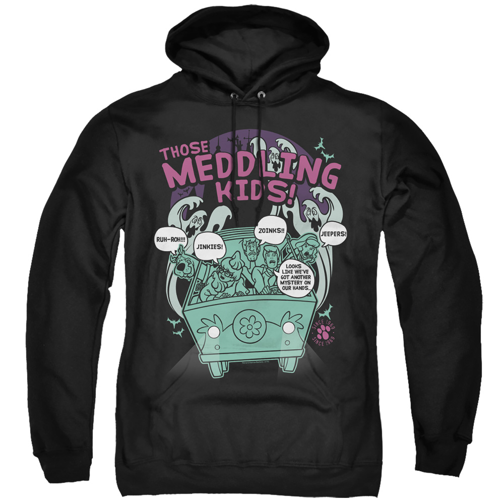 SD135-AFTH-7 Scooby Doo & Meddling Since 1969 Adult Pull Over Hoodie, Black - 4X -  Trevco