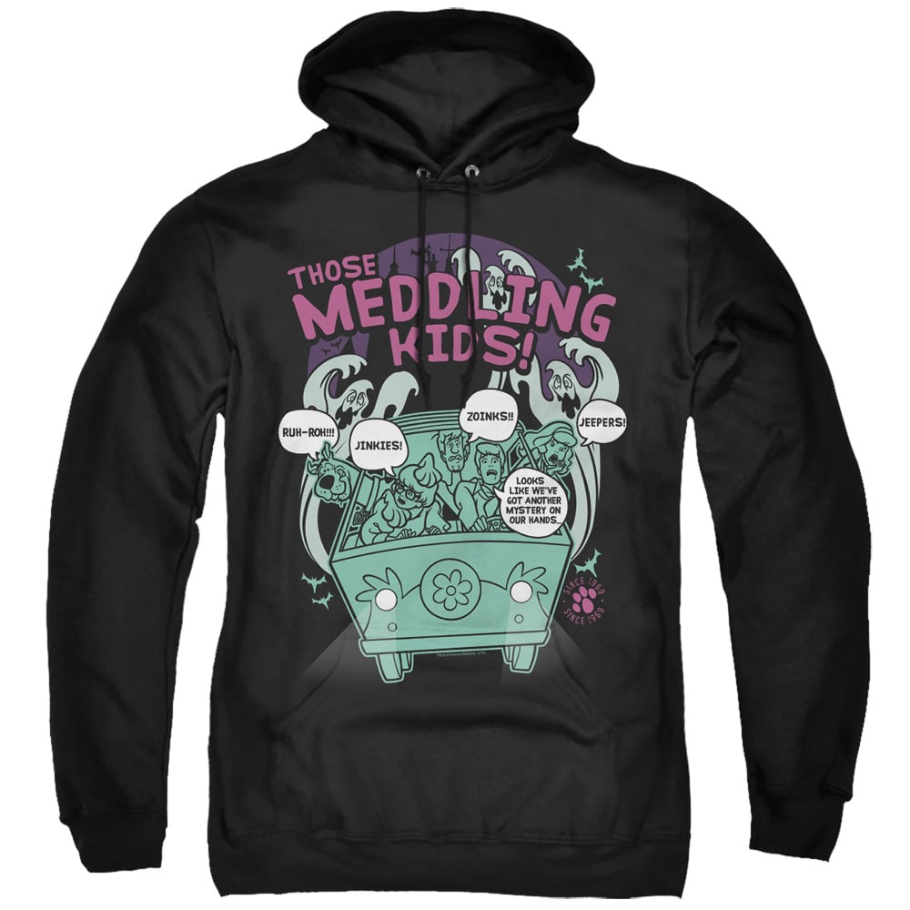 SD135-AFTH-8 Scooby Doo & Meddling Since 1969 Adult Pull Over Hoodie, Black - 4X