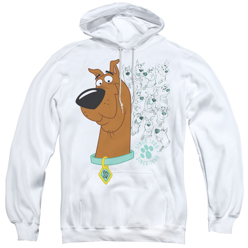 SD136-AFTH-1 Scooby Doo & Evolution of Scooby Doo Adult Pull Over Hoodie, White - Small