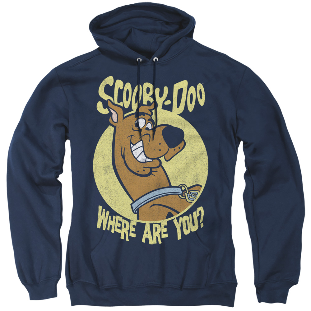Scooby Doo & Where Are You Adult Pull Over Hoodie, Navy - Medium