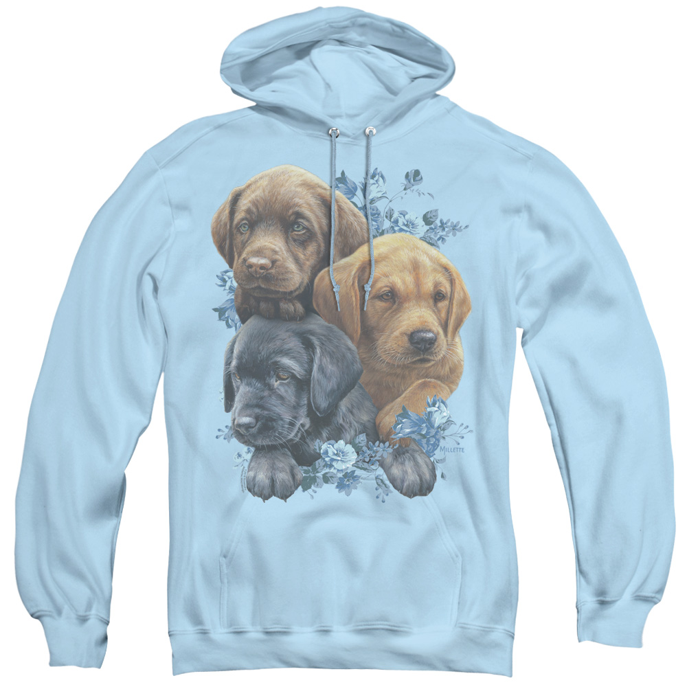 WW422-AFTH-2 Wild Wings & Puppy Pile Adult Pull Over Hoodie, Light Blue - Medium